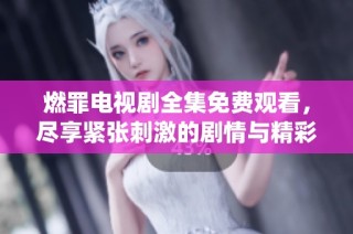 燃罪电视剧全集免费观看，尽享紧张刺激的剧情与精彩演绎