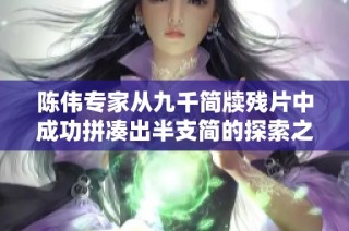 陈伟专家从九千简牍残片中成功拼凑出半支简的探索之旅