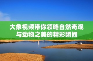 大象视频带你领略自然奇观与动物之美的精彩瞬间