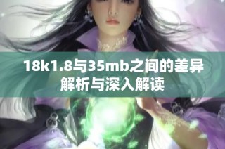 18k1.8与35mb之间的差异解析与深入解读