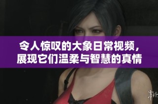 令人惊叹的大象日常视频，展现它们温柔与智慧的真情时刻