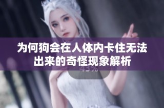 为何狗会在人体内卡住无法出来的奇怪现象解析