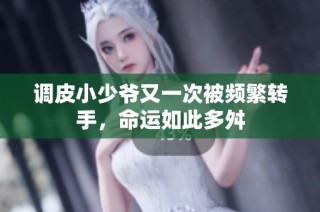 调皮小少爷又一次被频繁转手，命运如此多舛