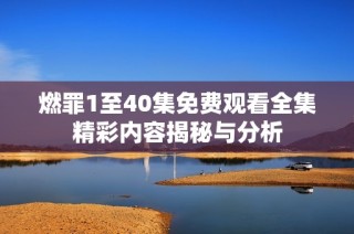 燃罪1至40集免费观看全集精彩内容揭秘与分析