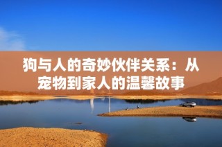 狗与人的奇妙伙伴关系：从宠物到家人的温馨故事