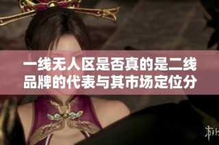 一线无人区是否真的是二线品牌的代表与其市场定位分析