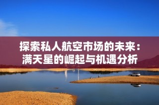 探索私人航空市场的未来：满天星的崛起与机遇分析