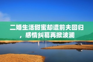 二婚生活甜蜜却遭前夫回归，感情纠葛再掀波澜