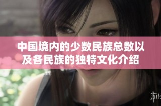 中国境内的少数民族总数以及各民族的独特文化介绍