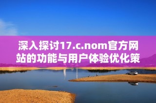 深入探讨17.c.nom官方网站的功能与用户体验优化策略