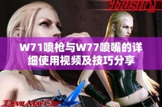 W71喷枪与W77喷嘴的详细使用视频及技巧分享
