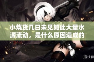 小烧货几日未见如此大量水源流动，是什么原因造成的？