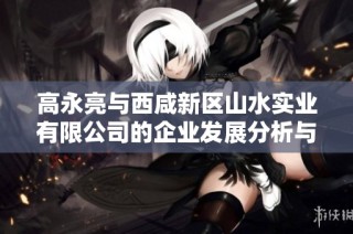高永亮与西咸新区山水实业有限公司的企业发展分析与探讨
