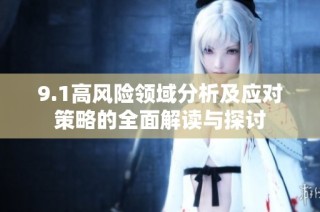 9.1高风险领域分析及应对策略的全面解读与探讨