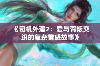 《司机外遇2：爱与背叛交织的复杂情感故事》