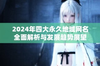 2024年四大永久地域网名全面解析与发展趋势展望