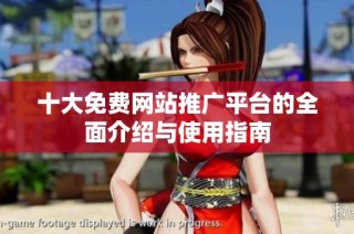 十大免费网站推广平台的全面介绍与使用指南