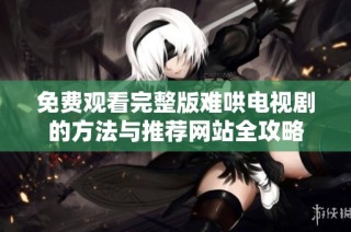 免费观看完整版难哄电视剧的方法与推荐网站全攻略