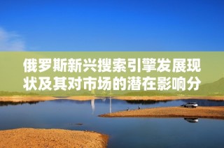 俄罗斯新兴搜索引擎发展现状及其对市场的潜在影响分析