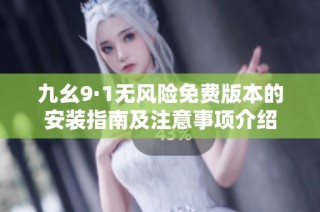 九幺9·1无风险免费版本的安装指南及注意事项介绍