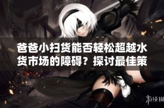 爸爸小扫货能否轻松超越水货市场的障碍？探讨最佳策略与方法