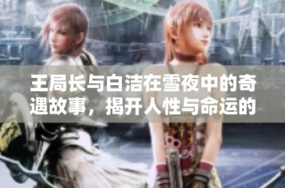 王局长与白洁在雪夜中的奇遇故事，揭开人性与命运的交融