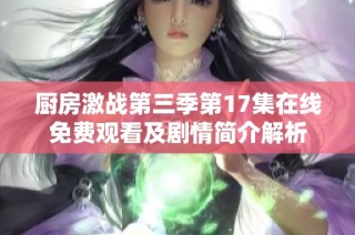 厨房激战第三季第17集在线免费观看及剧情简介解析