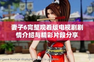 妻子6完整观看版电视剧剧情介绍与精彩片段分享