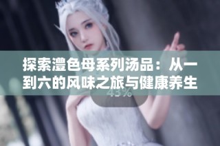 探索澧色母系列汤品：从一到六的风味之旅与健康养生秘诀