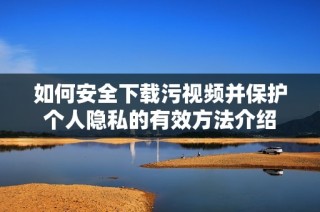 如何安全下载污视频并保护个人隐私的有效方法介绍
