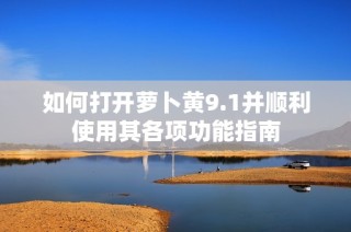 如何打开萝卜黄9.1并顺利使用其各项功能指南