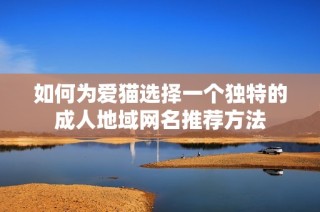 如何为爱猫选择一个独特的成人地域网名推荐方法