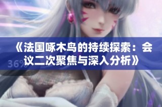 《法国啄木鸟的持续探索：会议二次聚焦与深入分析》