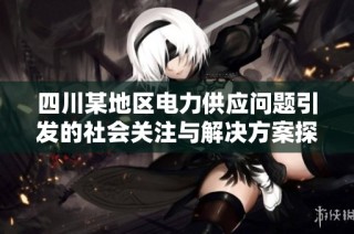 四川某地区电力供应问题引发的社会关注与解决方案探讨
