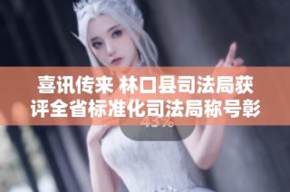 喜讯传来 林口县司法局获评全省标准化司法局称号彰显优异成果