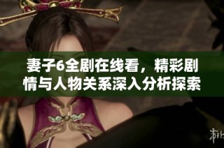 妻子6全剧在线看，精彩剧情与人物关系深入分析探索