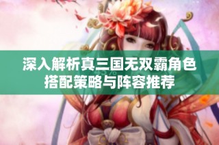 深入解析真三国无双霸角色搭配策略与阵容推荐