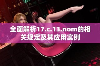 全面解析17.c.13.nom的相关规定及其应用实例