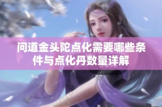 问道金头陀点化需要哪些条件与点化丹数量详解