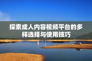 探索成人内容视频平台的多样选择与使用技巧
