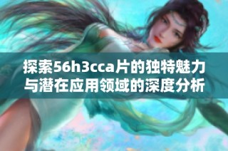 探索56h3cca片的独特魅力与潜在应用领域的深度分析