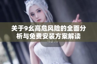 关于9幺高危风险的全面分析与免费安装方案解读