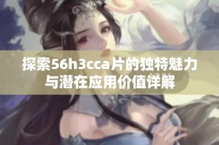 探索56h3cca片的独特魅力与潜在应用价值详解