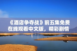 《酒店争夺战》前五集免费在线观看中文版，精彩剧情不容错过