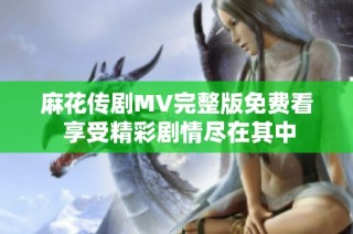 麻花传剧MV完整版免费看 享受精彩剧情尽在其中