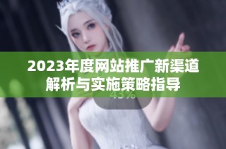 2023年度网站推广新渠道解析与实施策略指导