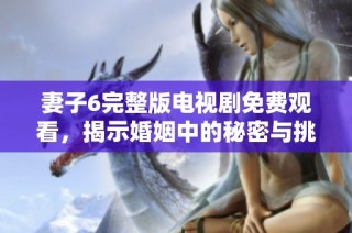妻子6完整版电视剧免费观看，揭示婚姻中的秘密与挑战精彩纷呈