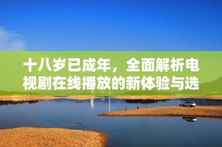 十八岁已成年，全面解析电视剧在线播放的新体验与选择
