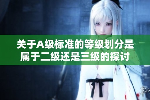 关于A级标准的等级划分是属于二级还是三级的探讨