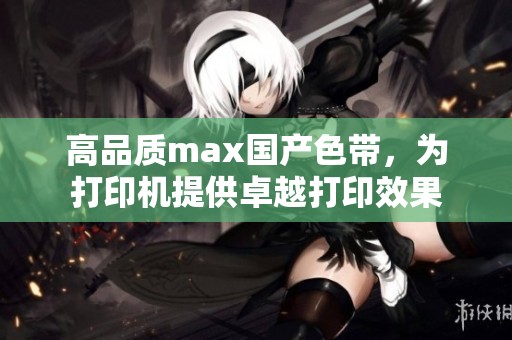 高品质max国产色带，为打印机提供卓越打印效果